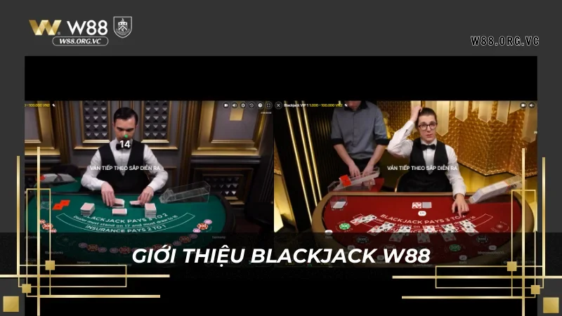 Giới thiệu khái quát bộ môn cá cược blackjack W88