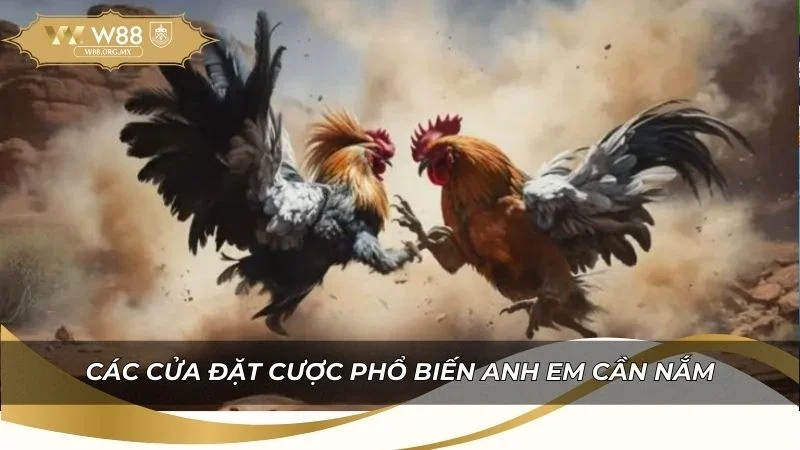 Các cửa đặt cược phổ biến anh em cần nắm